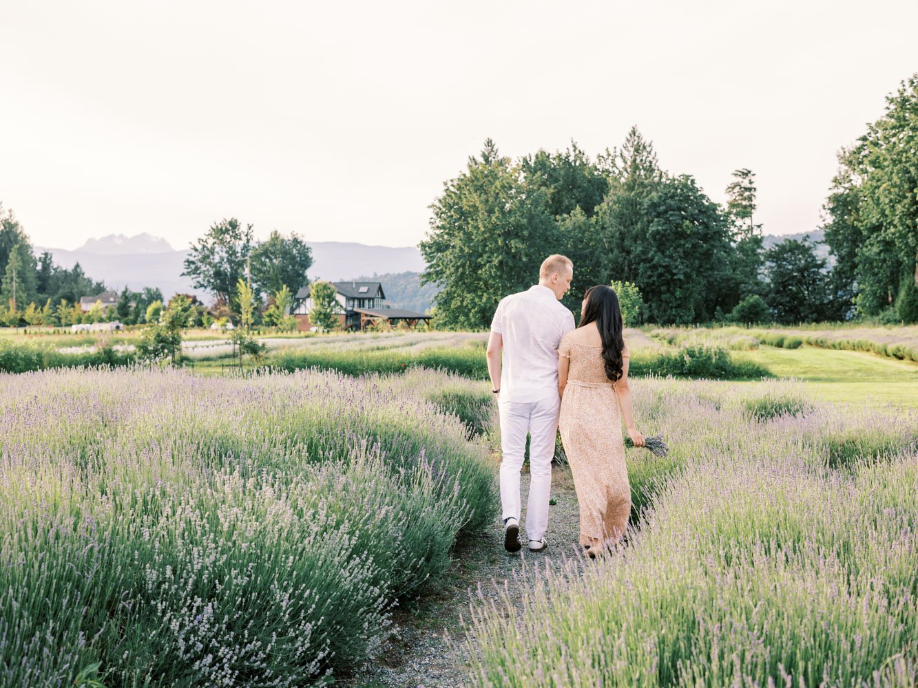 Lavender field-Engagement-Samin Photography-1.jpg