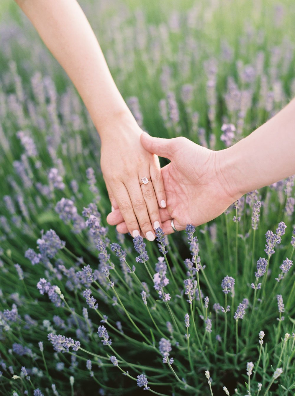 Lavender field-Engagement-Samin Photography-43.jpg