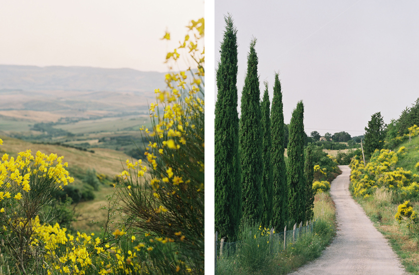 Green view Val d'Orcia Tuscany