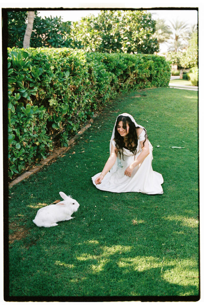 A whimsical and magical film photograph of the bride in her white wedding gown and cathedral veil kneeling on the lush green lawn of One&Only The Palm Dubai, reaching out toward a fluffy white rabbit sitting on the grass before her, with a neatly trimmed hedge and tropical palm trees behind her.